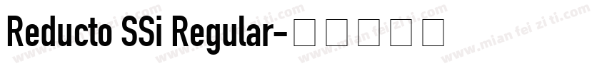 Reducto SSi Regular字体转换